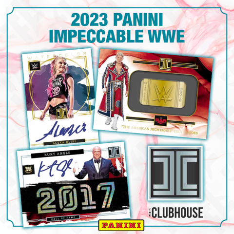 RELEASE DAY : 2023 Panini Impeccable WWE RANDOM LETTER Group Break #11590